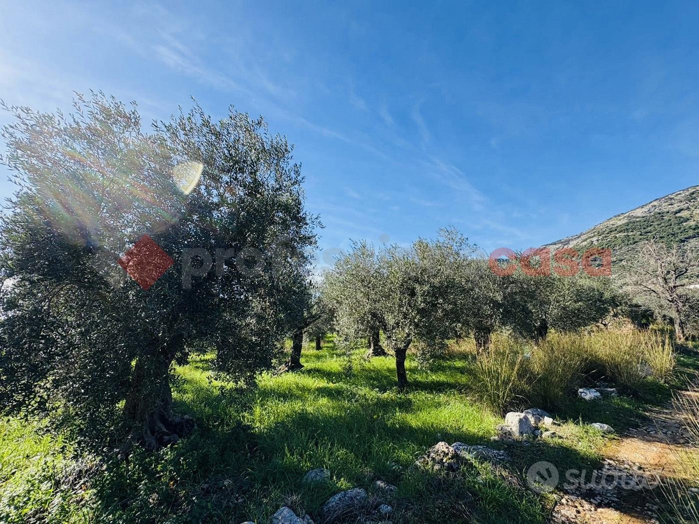 Terreno Agricolo Terracina [Cod. rif 3290200VCG] - Vista 2