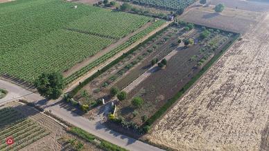 Salento
