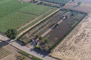 Salento