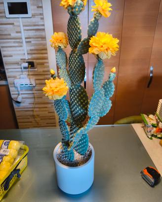 Cactus artificiale con vaso