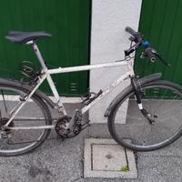 MTB bicicletta mountain bike Shogun Trail breaker