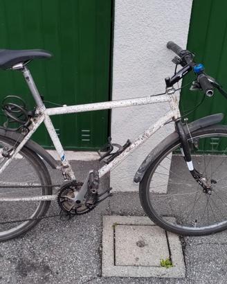 MTB bicicletta mountain bike Shogun Trail breaker
