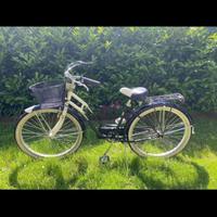 Bicicletta da donna americana