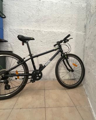 Bici bambino Frog 62 – 24”  leggera