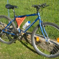 Bici mtb da 26"