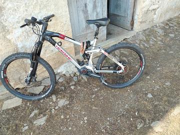 bicicletta elettrica 