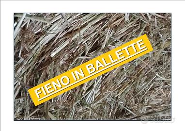 FIENO IN BALLETTE