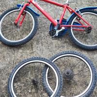 Bicicletta 20