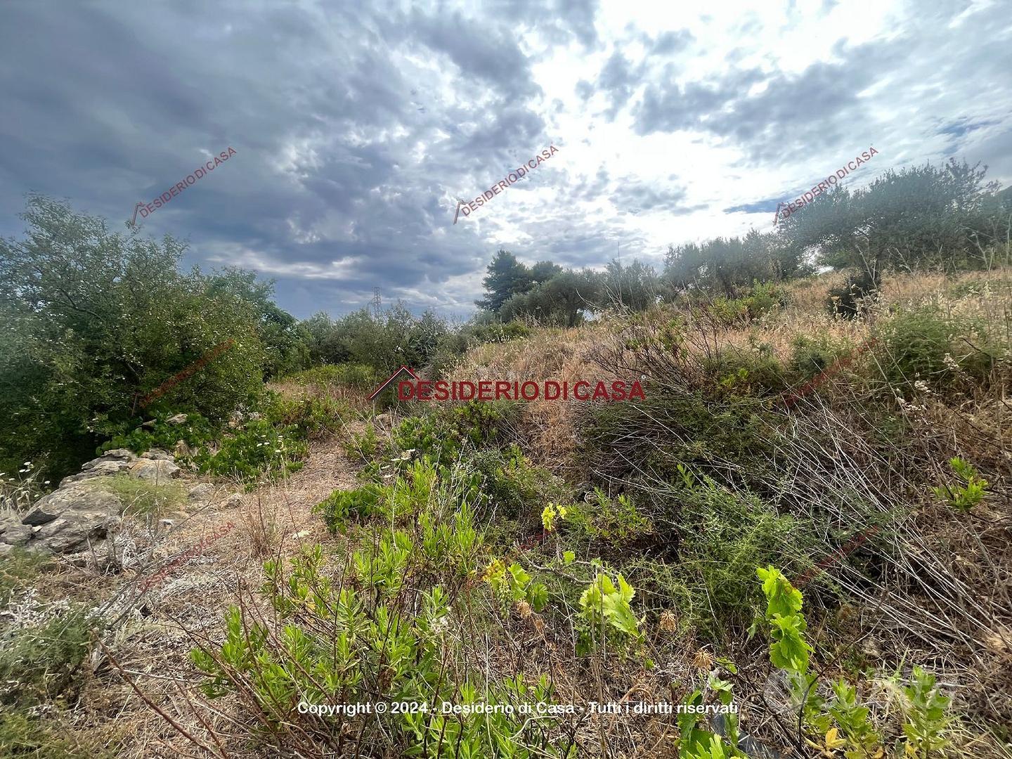 Terreno, Casteldaccia. - Vista 5