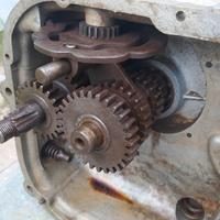 Gilera nettuno sport cambio