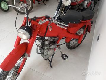 Motom Sport 48 cc