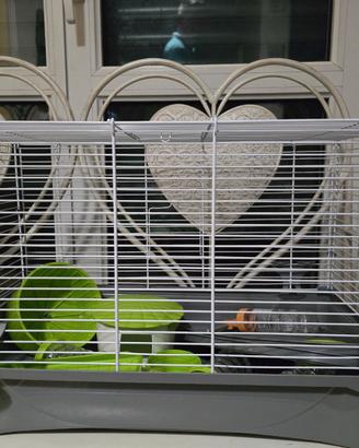 Gabbia per criceti o piccoli roditori