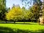 Immagine 10