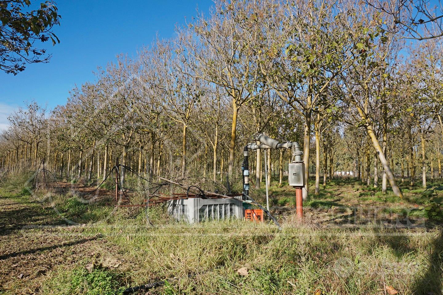 Terreno con progetto per villa con piscina - Vista 4