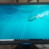 Monitor Philips Brilliance 190 SW