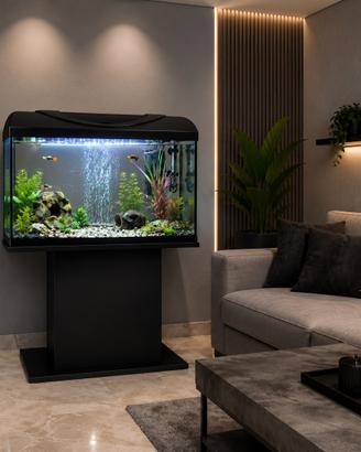 Acquario
