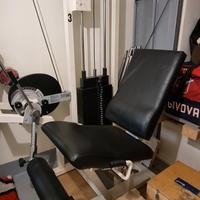 leg extension  technogym 
