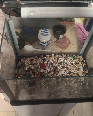 acquario 