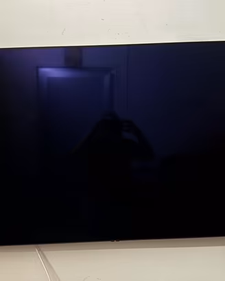 Tv LG 55 pollici Oled
