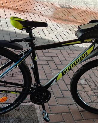 mountain-bike  