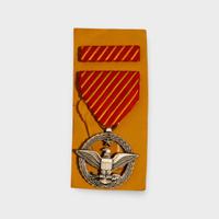 insignia pin spilla metallo medaglia militare