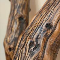 legno decorativo olivo secolare 