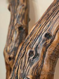 legno decorativo olivo secolare 