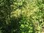 Immagine 9