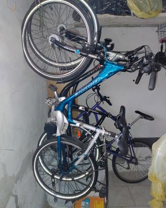 bicicletta elettrica 