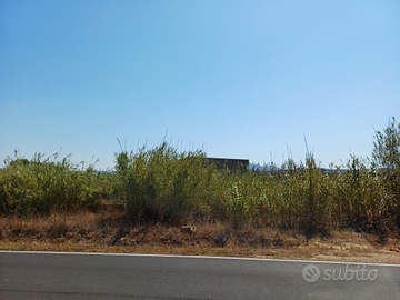 Terreno agricolo 10.200 mq con casetta