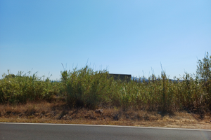 Terreno agricolo 10.200 mq con casetta