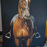 quadro cavallo