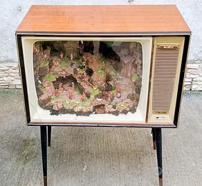 presepe nel tv anni 60'