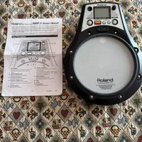 Roland Rhytm Coach RMP-3