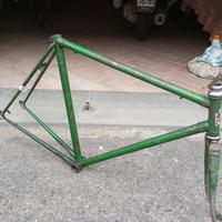 telaio sport bianchi 