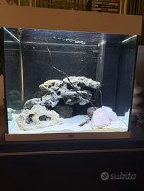 Acquario Juwel lido 120