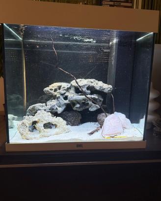 Acquario Juwel lido 120
