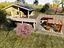 Immagine 14