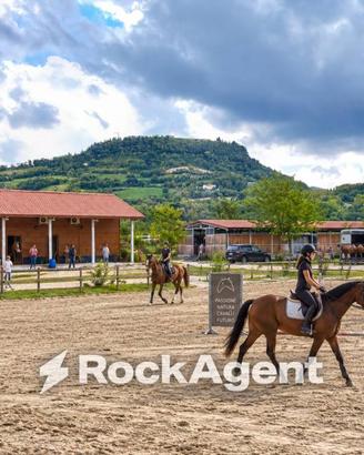 Immobile di 300 m² con 4 locali a Civitella del Tr