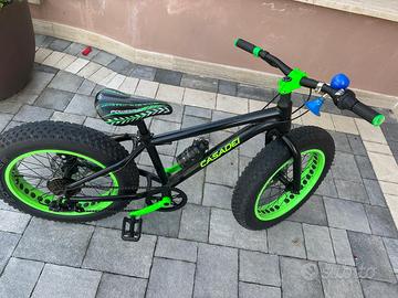 BICICLETTA CASADEI