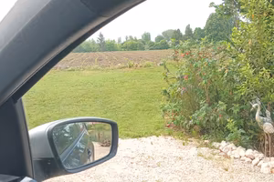 terreno agricolo