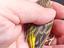 Immagine 3