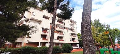 Appartamento a Adelfia Piazza TRIESTE 4 locali