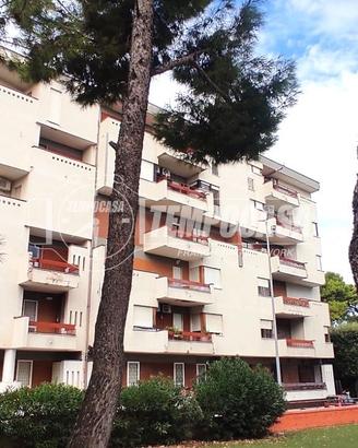 Appartamento a Adelfia Piazza TRIESTE 4 locali