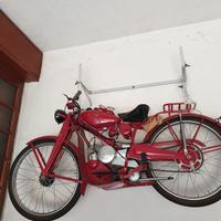 Motociclo cardellino