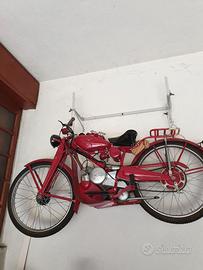 Motociclo cardellino