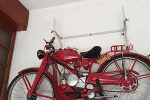 Motociclo cardellino