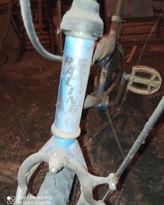 Bicicletta BMX