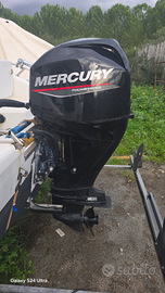 Mercury 40 efi orion