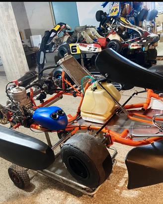 Go kart 100 intepid tm